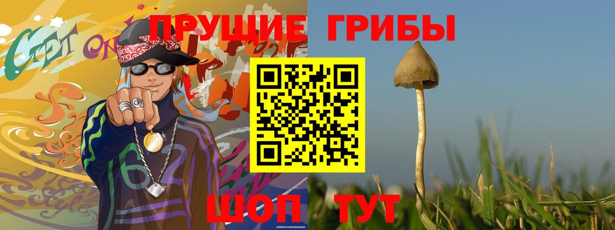 Галлюциногенные грибы Psilocybe Ишимбай
